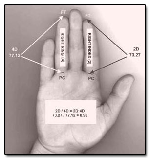 What does it mean when your ring finger is longer than your index finger?