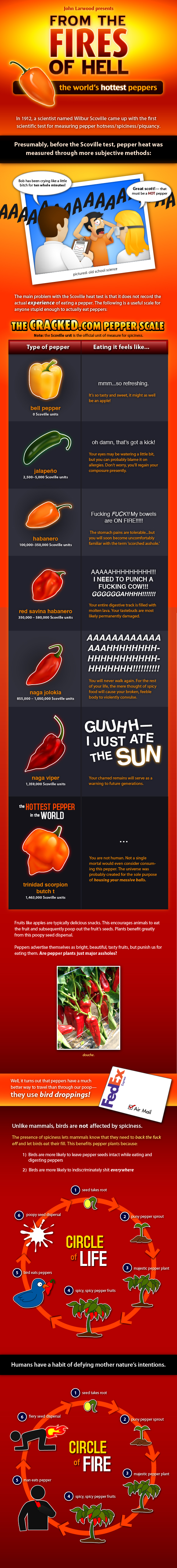 Chili Pepper Chart
