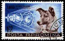 Laika - the first (and most awesome) dog in space.