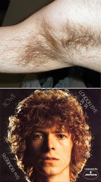 bowie-vs-armpit