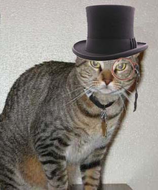 koawncezffp5ny9xza9szxjbo1_400