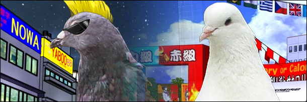 Pigeon Life Game Japanese Pigeon Life Game Japanese