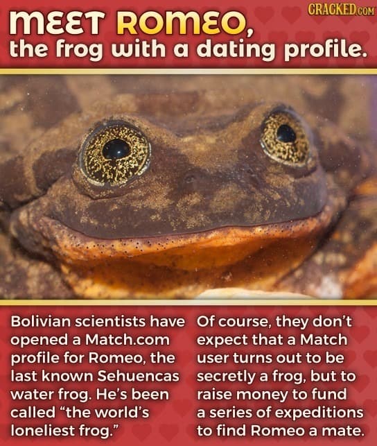 Lucky Charms, Unlucky Frogs, And Other Weird News You Missed