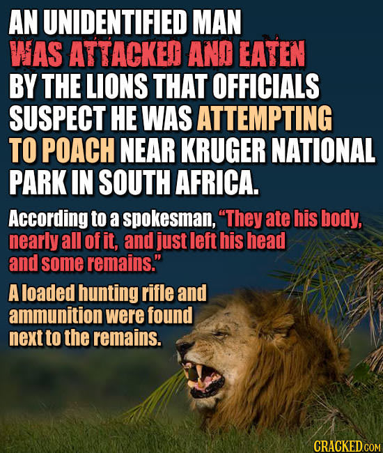 Lucky Charms, Unlucky Frogs, And Other Weird News You Missed