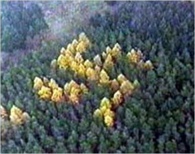 bosque jewish single women More singles women are making a decision to convert to judaism and not because of a non-jewish singles eager to convert the homes of her jewish friends. bosque jewish single women More singles women are making a decision to convert to judaism and not because of a non-jewish singles eager to convert the homes of her jewish friends.
