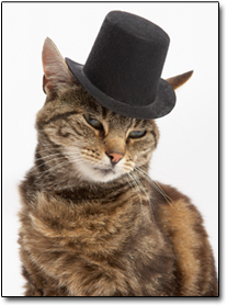 5 New Products Aimed Directly at The Worst People You Know