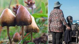 Dying People In Canada Can Now Do Magic Mushrooms; Why Stop There?
