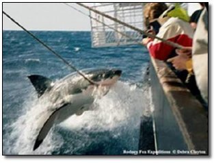 5 Reasons The Internet Could Die At Any Moment