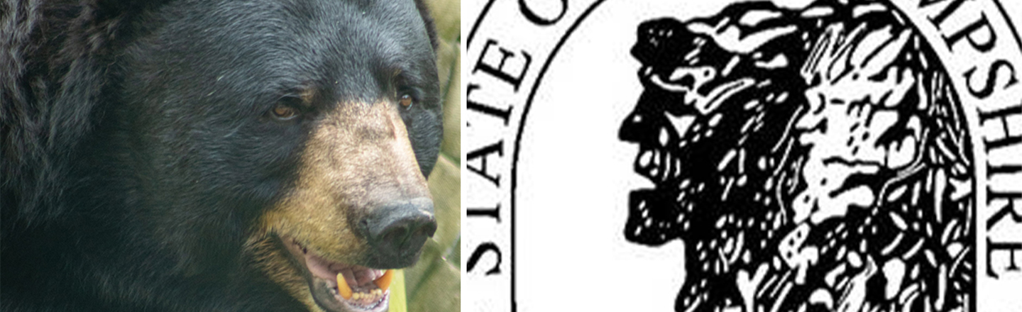 New Hampshire's Libertarian 'Utopia' Got Overrun By Bears
