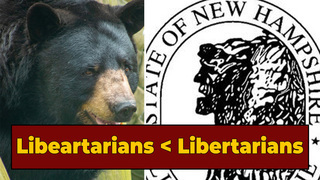 New Hampshire's Libertarian 'Utopia' Got Overrun By Bears