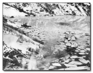 5 Black Friday Myths the Media Wants You to Believe