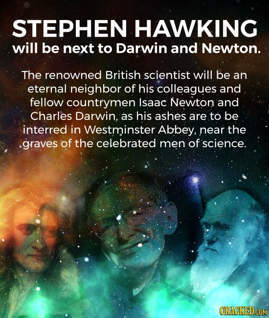 STEPHEN HAWKING will be next to Darwin and Newton. The renowned British scientist will be an eternal neighbor of his colleagues and fellow countrymen 