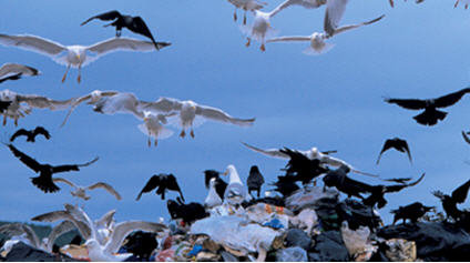 The Rich Dick's Guide to Picking Up Women