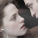 If 'Twilight' Was 10 Times Shorter And 100 Times More Honest