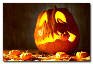 5 Black Friday Myths the Media Wants You to Believe