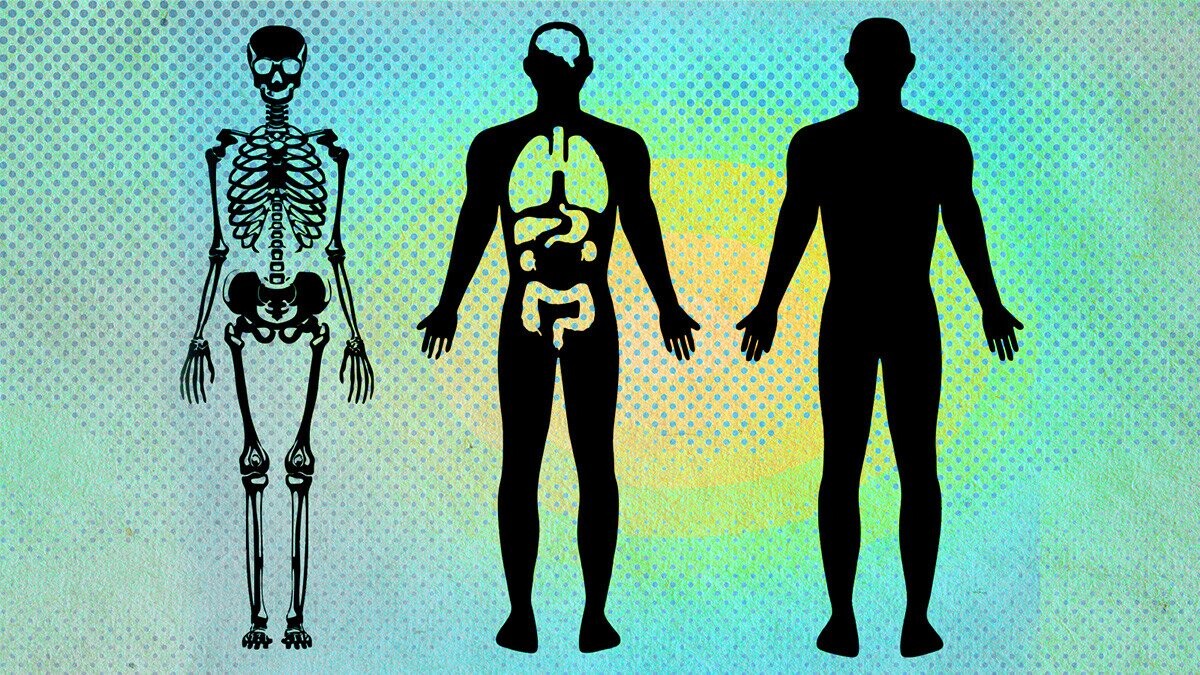 5 Super Senses Secretly Wielded by the Human Body