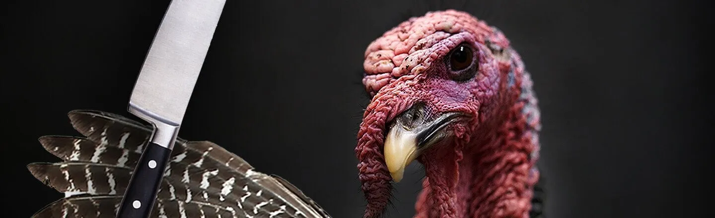 8 Ways Turkeys Are Total Madmen Who Would Happily Kill You