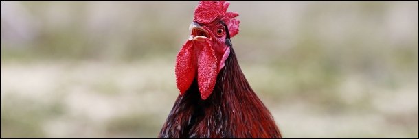 The 10 Most Obnoxious Cell Phone Callers