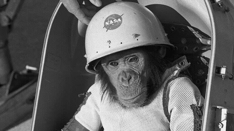 All the Stuff a Second Grader Knows About Space That You Totally Forgot About