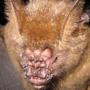 Cracked Round-Up: Olympic Edition