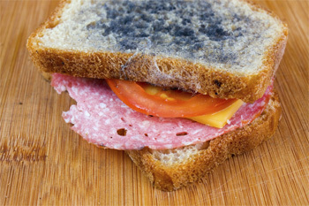 5 Brain Disorders That Started as Evolutionary Advantages