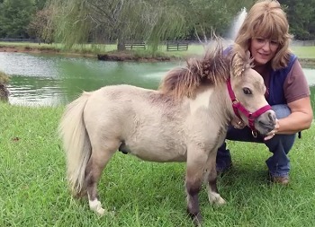 The 6 Most Horrifying Pets We've Bred Into Existence