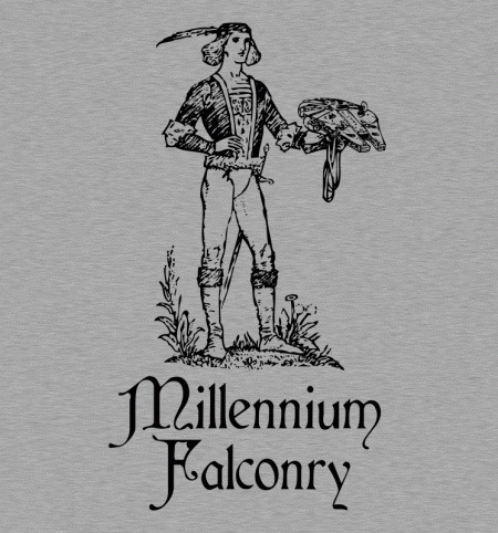 Mlillennium Falconry 