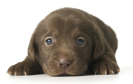 5 Ways It's Perfectly Fine to Harshly Judge Someone