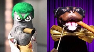 Was A Canadian Sock Inspiration For Triumph, The Insult Comic Dog?