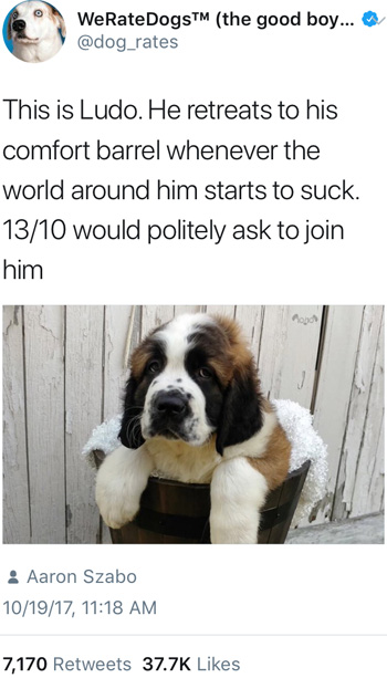 WeRateDogsTM (the good boy... @dog_rates This is Ludo. He retreats to his comfort barrel whenever the world around him starts to suck. 13/10 would pol