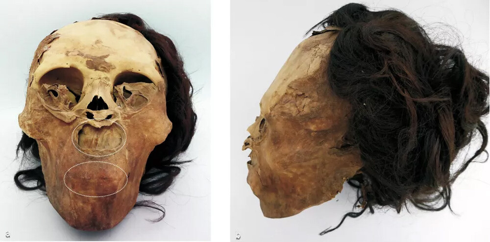 the partially mummified remains of the woman whose face was mutilated