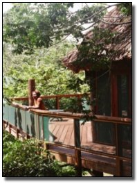 5 Inspiring Acts of Kindness by Terrifying Crime Syndicates