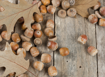 5 Brain Disorders That Started as Evolutionary Advantages