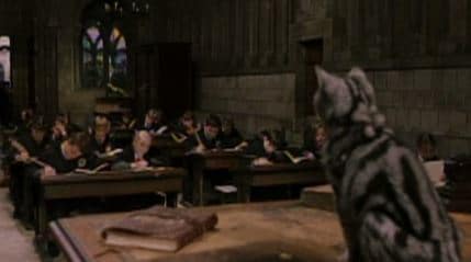 The Untold Story Behind The Hogwarts Cat Cracked Com