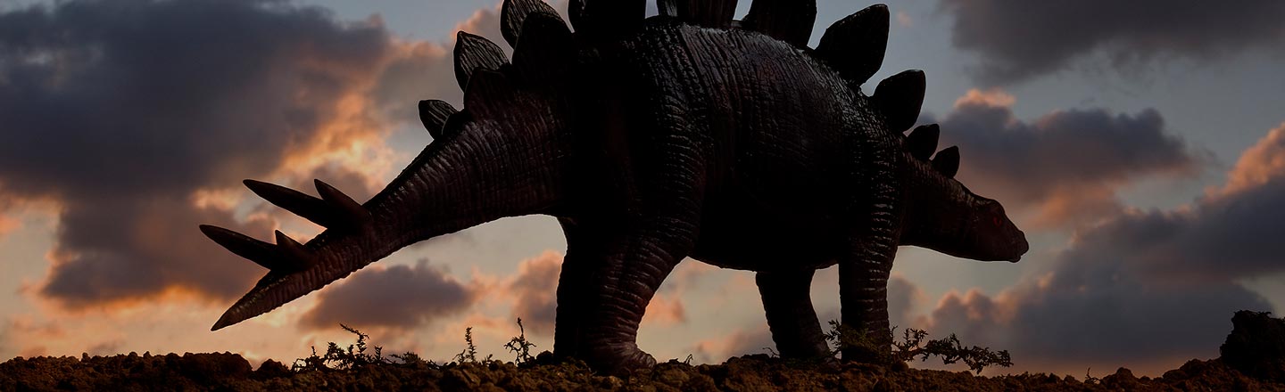 Everybody Once Thought Stegosauruses Could Actually Fly
