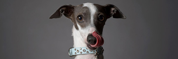 6 Odd Things Doomsday Preppers Stockpile (That Make Sense)