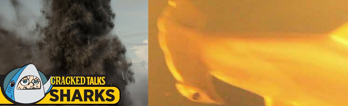 There Are Sharks That Live In Volcanos
