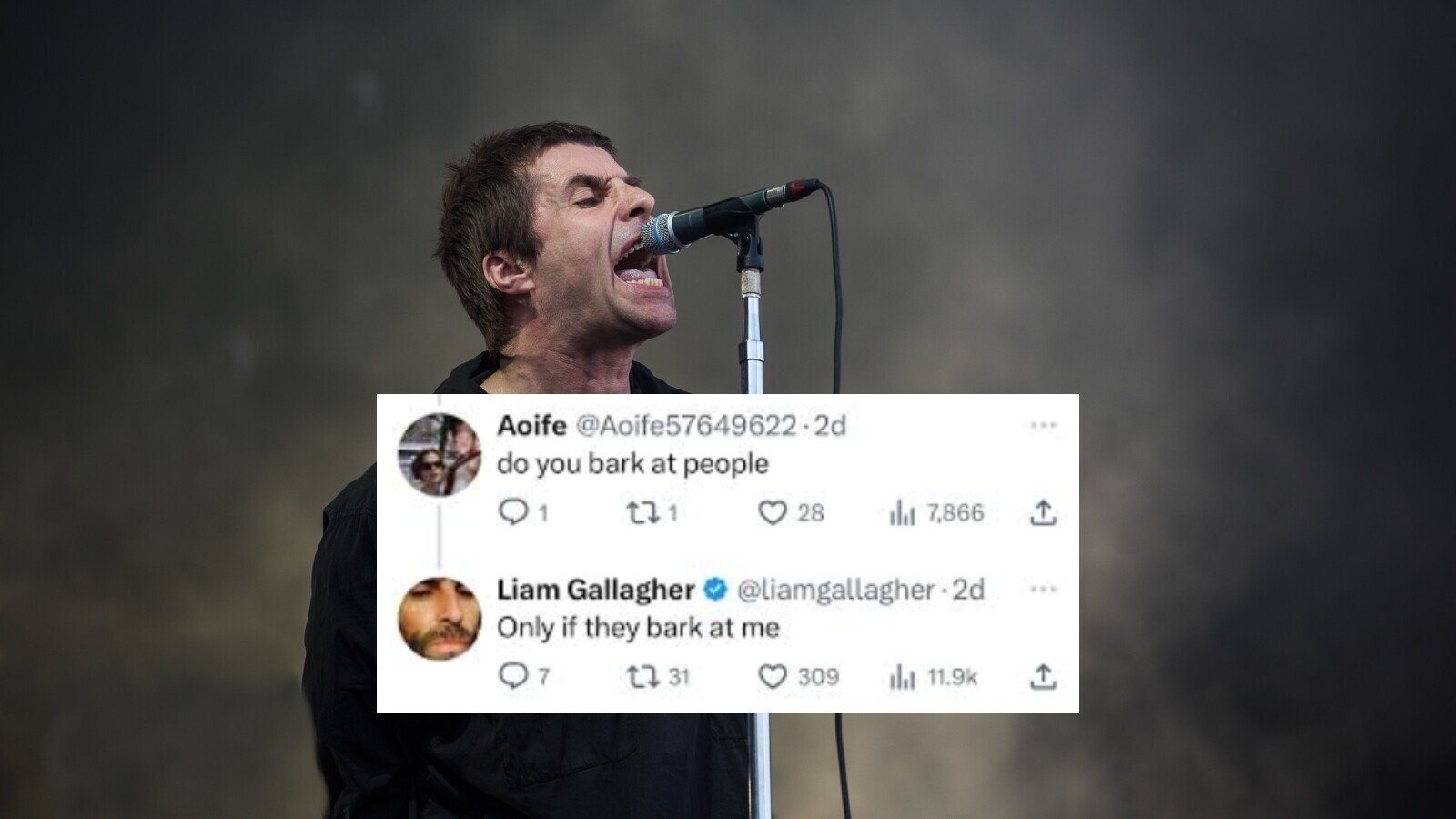 England Declares That Liam Gallagher Is Funnier Than Most Stand-Ups