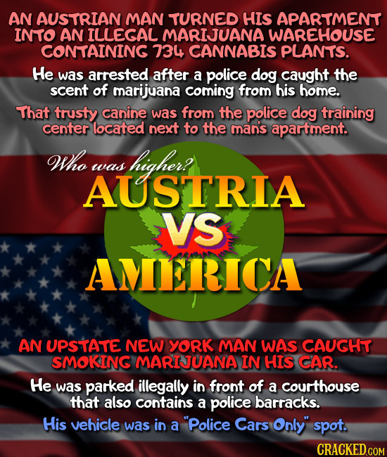 AN AUSTRIAN MAN TURNED HIS APARTMENT INTO AN ILLECAL MARIJUANA WAREHOUSE CONTAINING 734 CANNABIS PLANTS. He was arrested after a police dog caught the