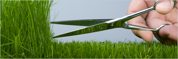 5 Brain Disorders That Started as Evolutionary Advantages