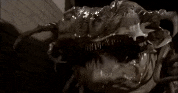 Elijah Wood infected by parasites