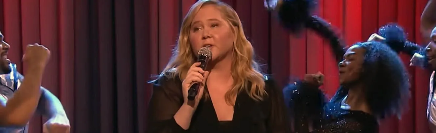 Amy Schumer Appreciates All Your Input About Her Face