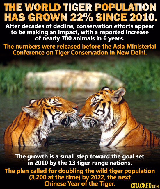 The 14 Most Insane Things Happening Right Now (4/19)