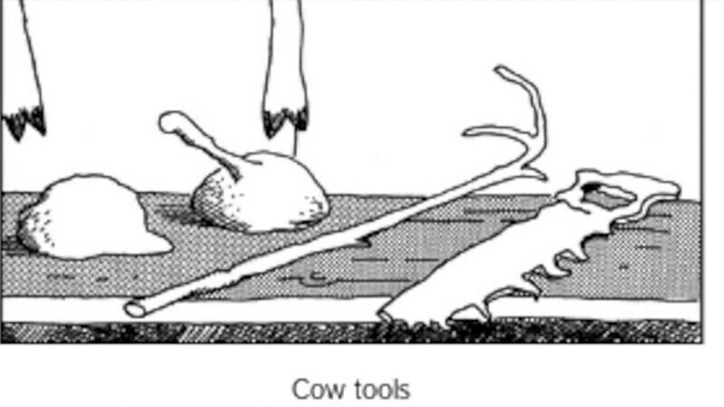 ‘Far Side’ Fans Freak Out As the ‘Cow Tools’ Prophecy Is Finally Fulfilled