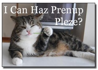 I Can Haz Prenup Pleze?