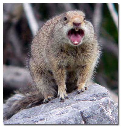 5 Popular Zombie Survival Tactics (That Will Get You Killed)