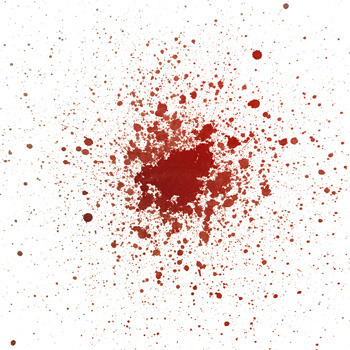 14 Things Even An Idiot Like You Can Do To Save The World