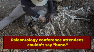 The Term "Bone" Was Banned At Recent Paleontology Conference