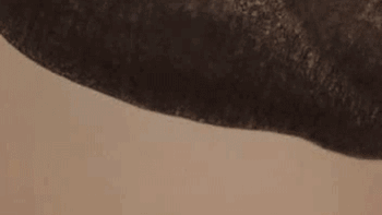 5 Bullet-Time Secrets Revealed By High-Speed Photography