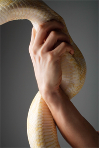 6 Completely Insane Disguises That Actually Worked